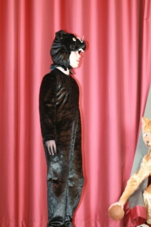 Baghira, der Panther